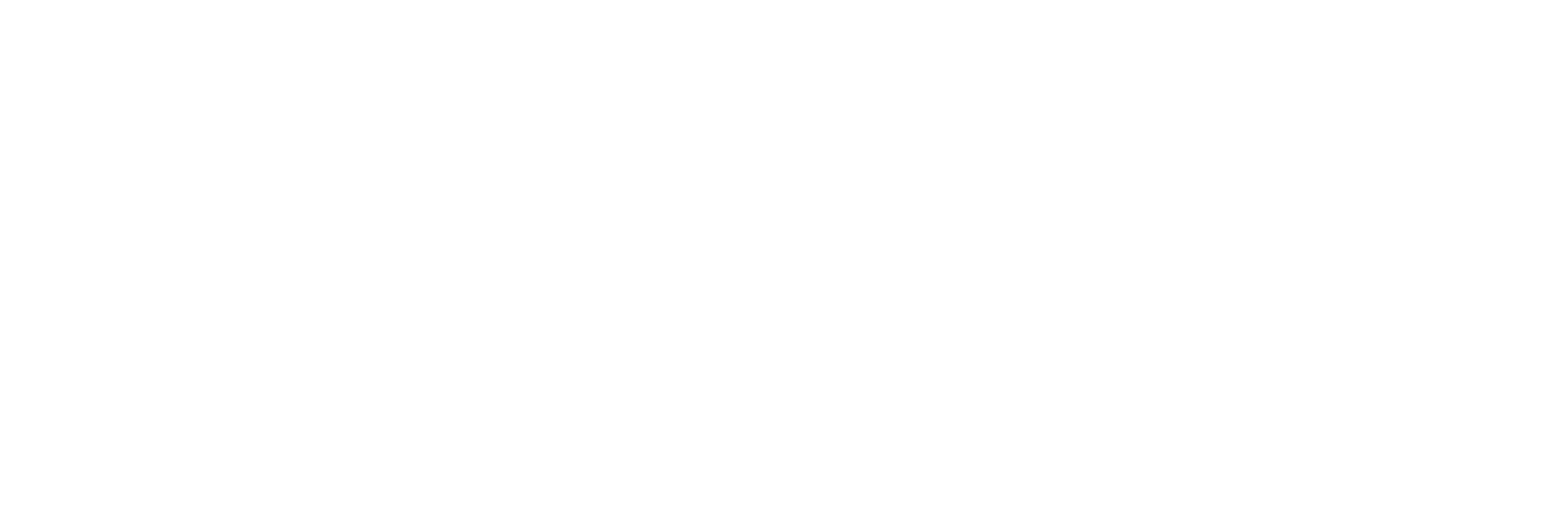 Neojn wordmark, reversed for dark backgrounds
